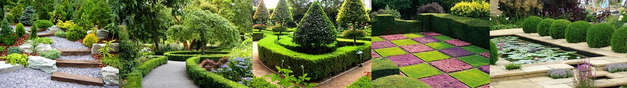 фото ландшафтный дизайн